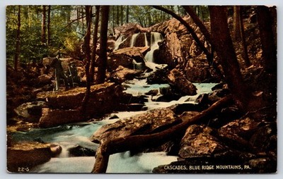 Cascades Blue Ridge Mountains PA Scenic View Vintage Postcard