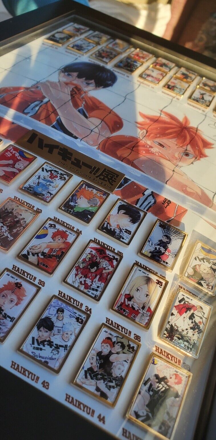 Pin by Thaina on for my manga wall  Haikyuu manga, Haikyuu anime, Haikyuu