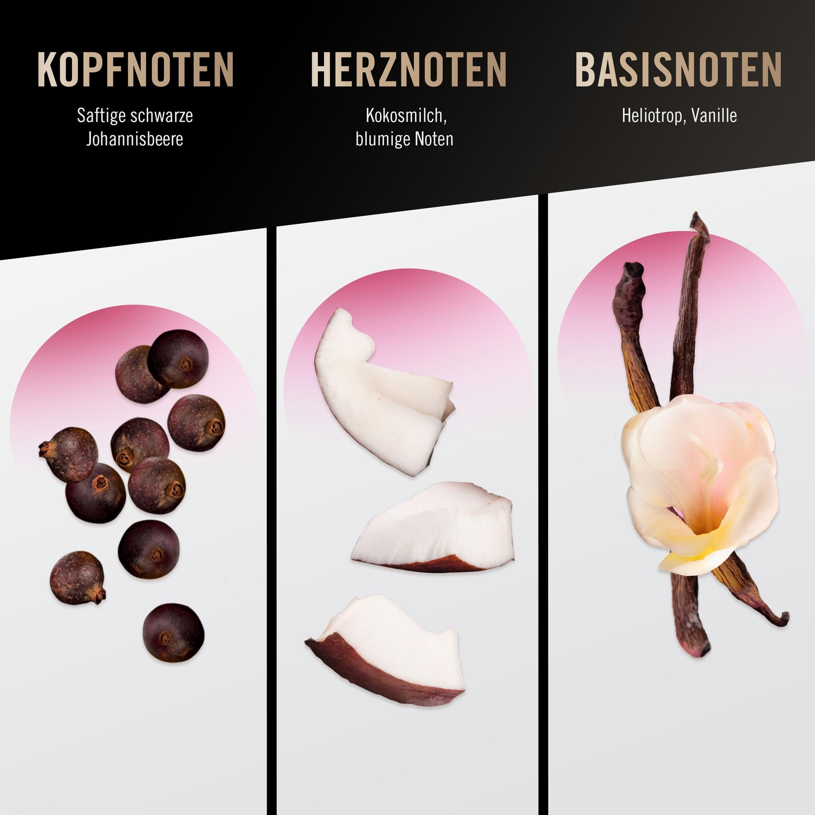Bild 7 von 9
