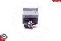 Esen Skv Sensor, Kraftstoffdruck U.A. FüR CitroËN, Fiat, Ford, Mitsubishi