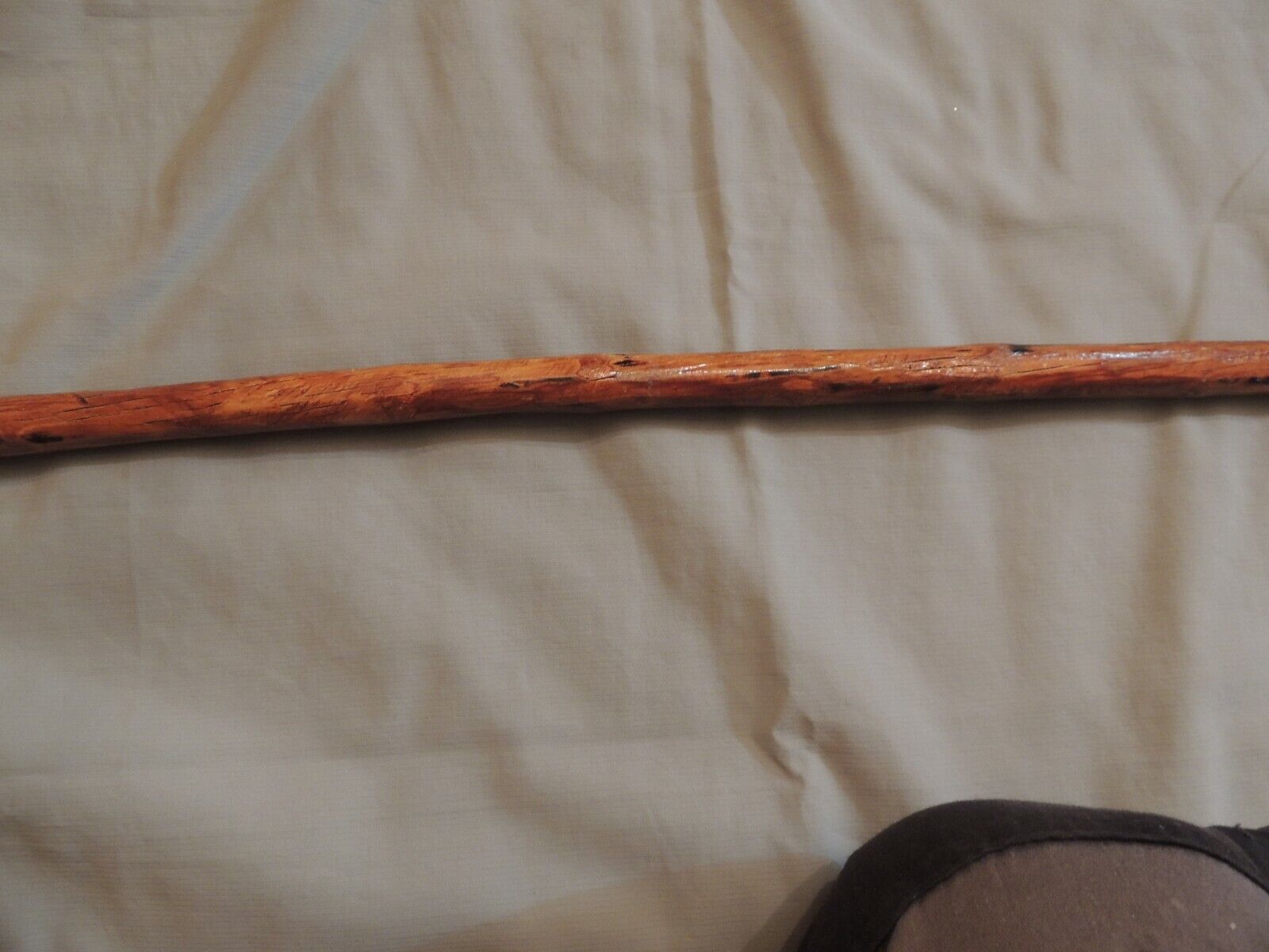 Picture 5 of 10