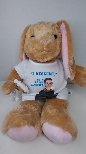Costruisci un orso laboratorio Ruth Bader Ginsburg ragazze ribelli Pawlette Bunny musica peluche - Video 1 di 1