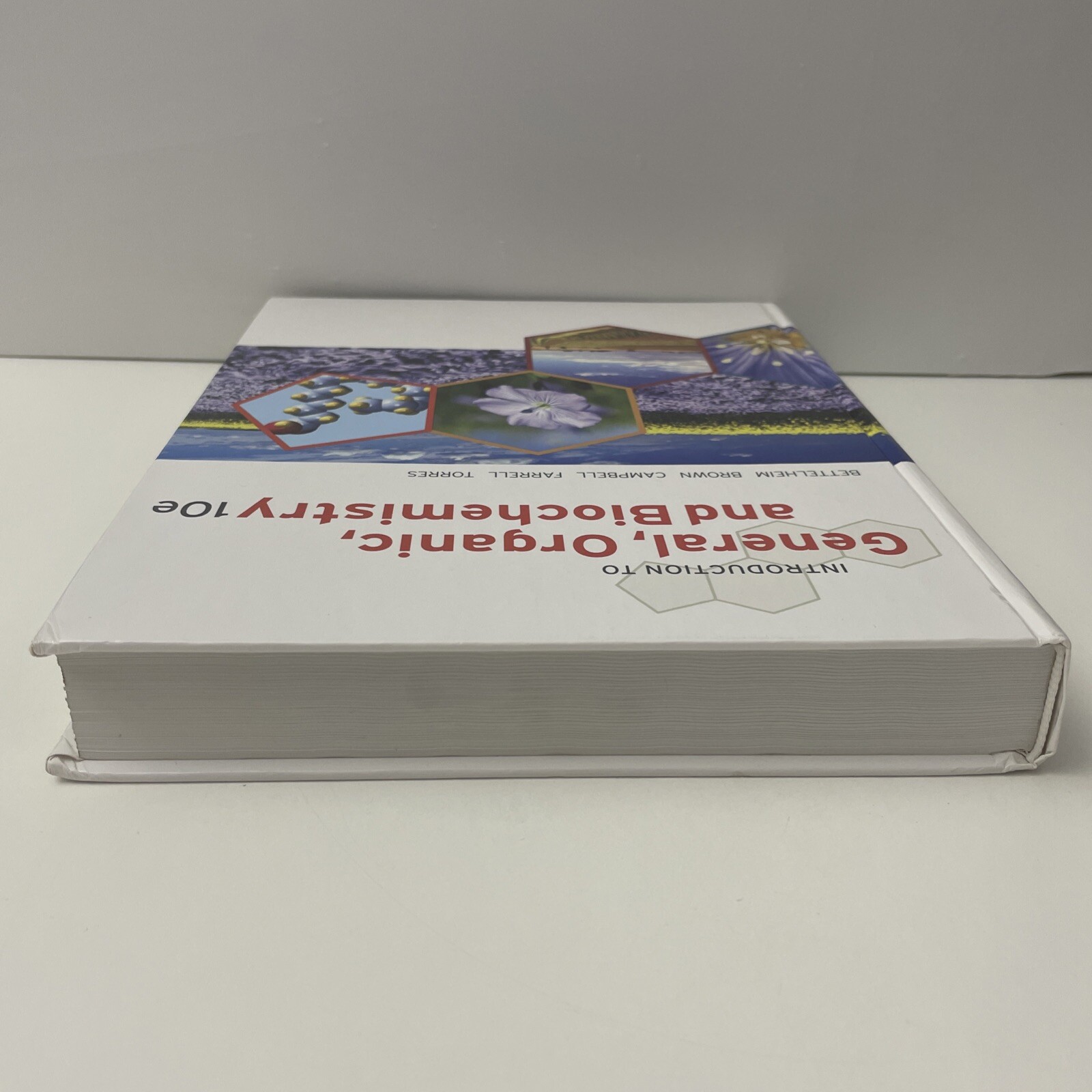 Afbeelding 6 van 15
