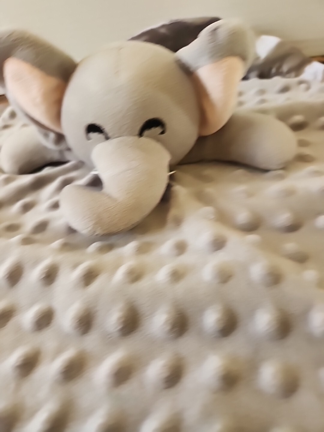 Picture 2 of 4