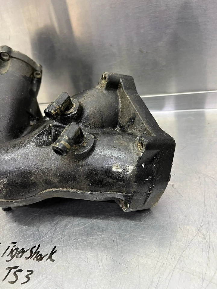 TigerShark Daytona 770 1996-1997 colector de escape silenciador tubo cabezal agua dulce Foto 3 de 4
