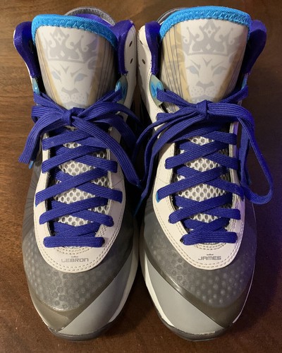 Nike LeBron 8 V2 Hornets Size 8.5 
