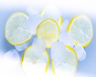 11745.Decor Poster.Room wall.Home modern design.Kitchen food art.Lemons.Ice.Bar