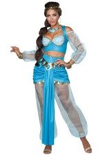Brand New Blue Arabian Princess Jasmine Inspired Adult Costume