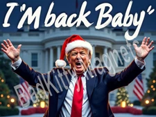 Donald Trump I'm back baby White House Santa hat Metal Fridge Magnet 3x4 7378