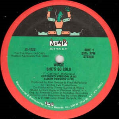 WOKIE She's So Cold 12'' VINYL USA Jump Street 1989 4 Track Extend Version   7,00