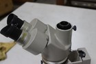 Foto 3 di 3