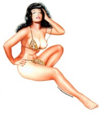 3 Inch MINI - PinUp Girl BETTIE PAGE LEOPARD SKIN BIKINI RC Sticker ART Decal