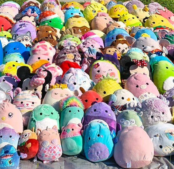 Squishmallows Lot 46x Bundle Stuffed Plush Animals Squish Toys Small Med  Large