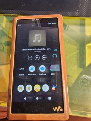 Sony NW-WM1AM2 Hi-Res DAP 1TB card plus MITER leather case