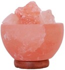 Animals & Insects Salt Lamps