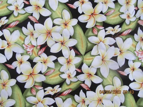 MARIANNE OF MAUI HAWAIIAN QUILTING FABRIC PLUMERIA CLUSTERS ON BLACK