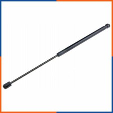 Verin de hayon / de capot Citroen GS