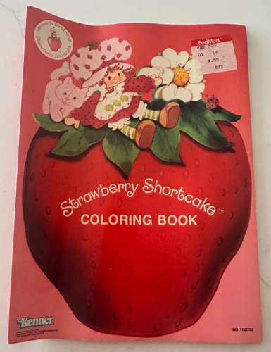 KENNER VINTAGE MALBÜCHER 1981 STRAWBERRY SHORTCAKE NICHT EINGEFÄRBT