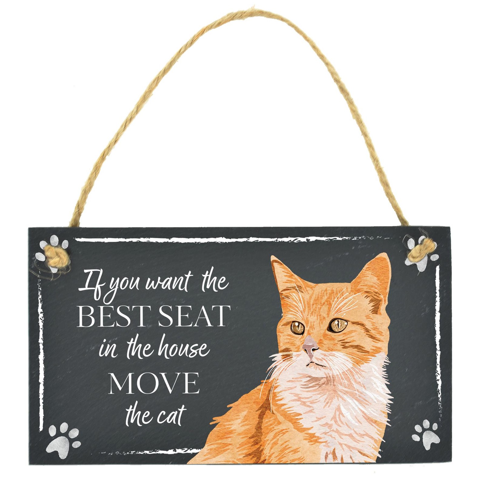 Ginger Cat Best Seat In The House Homeware Decor Giftware Slate Hanging Plaque
