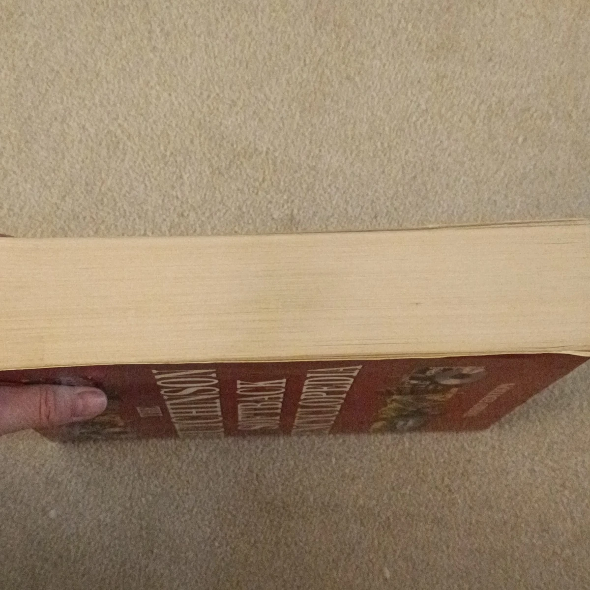The Hutchinson Softback Encyclopaedia 3rd Ed Paperback 1996 Helicon