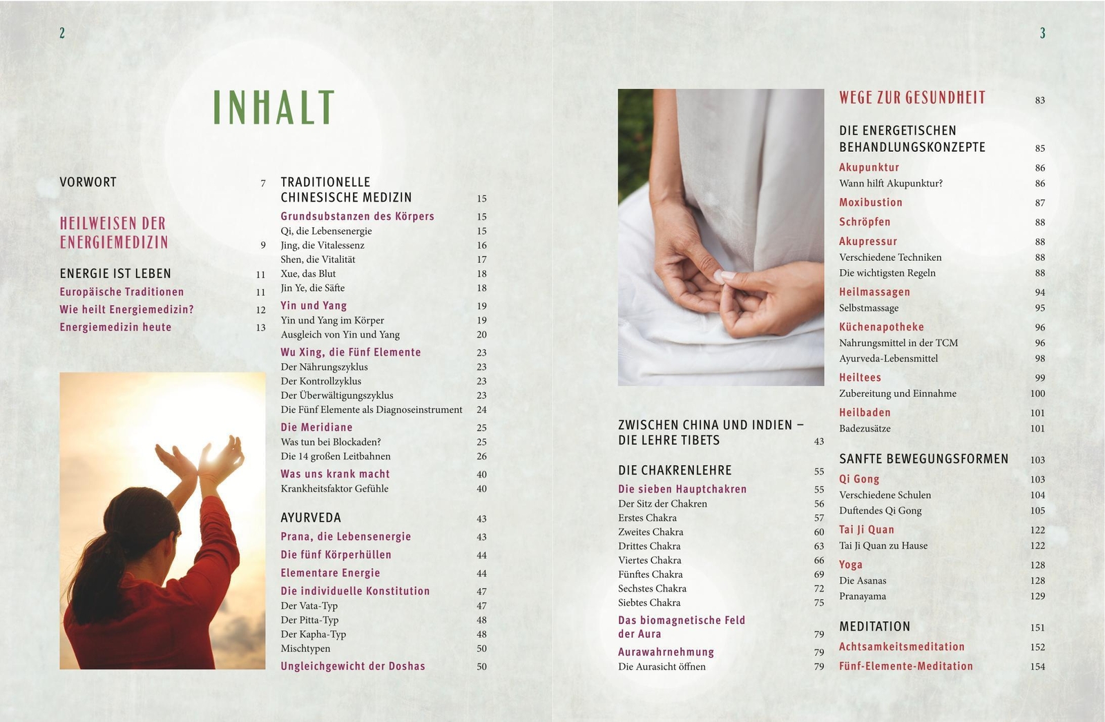 Thumbnail - Praxisbuch Energiemedizin | Li Wu | Deutsch | Taschenbuch |