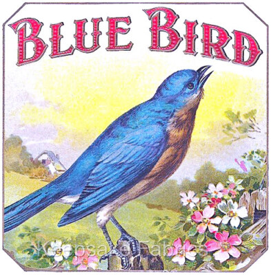 Blue Bird Cotton Crazy Quilt Block Multi Sizes (B7