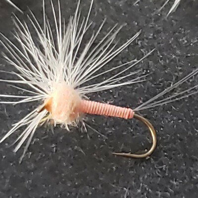 TROUT DRY FLY # 14 HACKLE STACKER DUN PMD CUSTOM TIED FRONTIER FISHING FLIES