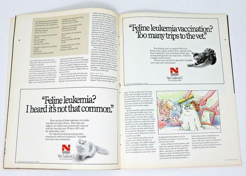 Vintage 1989 Cat Companion Magazine From Friskies Black Cat - Bild 7 von 11