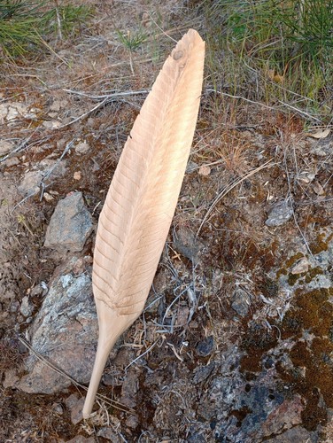 Hand Carved Cedar Eagle Feather - Picture 18 of 22