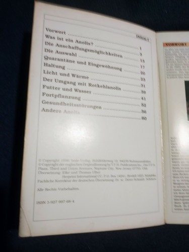 Buch "Rotkehl-Anolis im Terrarium" v. Ray Hunziker - Bild 3 von 12