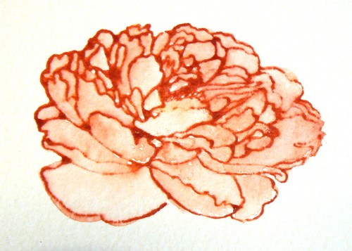 C1 Crystal Clear Large Peony Flower Rubber Stamp Mounted - Picture 4 of 5