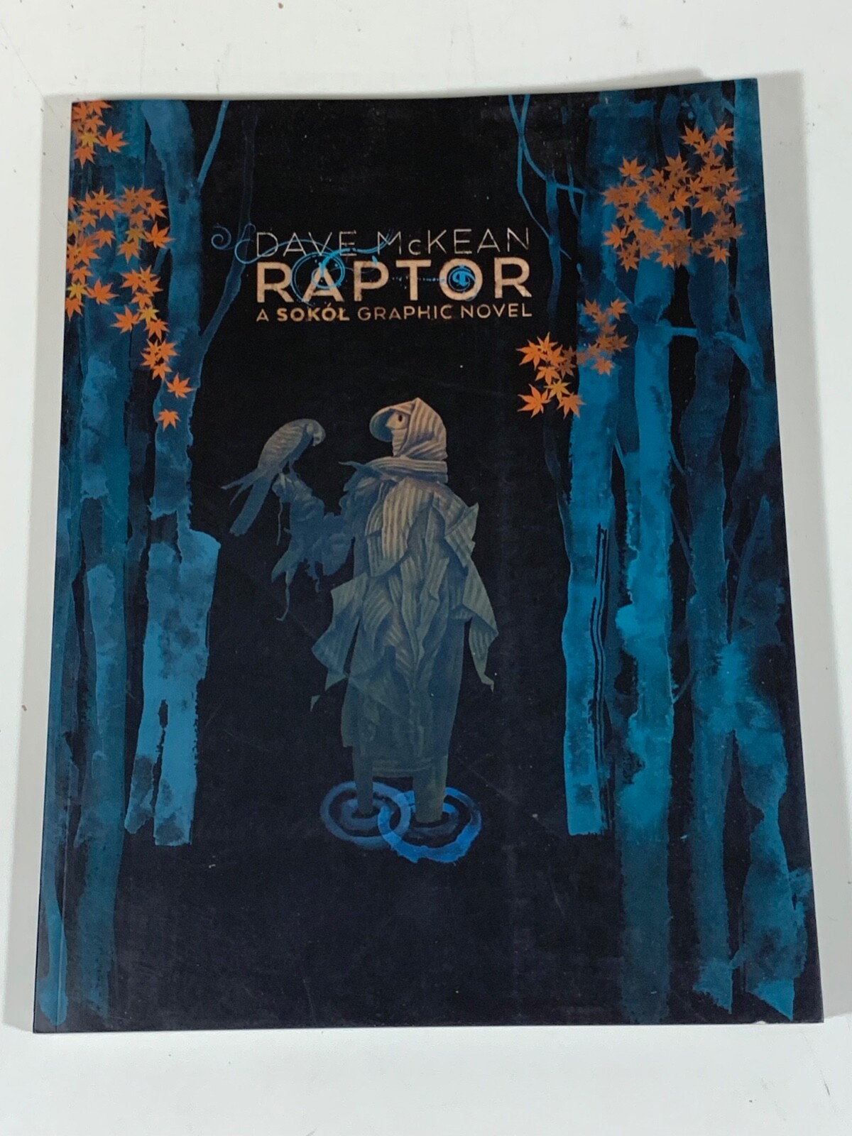 Raptor A Sokol Graphic Novel by Dave McKean SIGNED 9781506720630 eBay