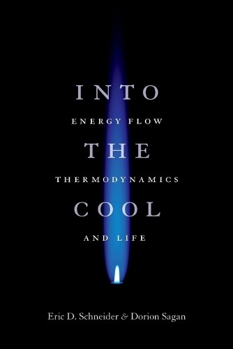 Into the Cool: Energy Flow, Thermodynamics, and Life by Eric D. Schneider NEW - Image 4