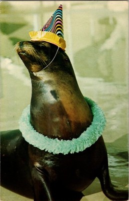 san-diego-california-ca-sea-world-tourist-attraction-a-12-bh3889-ebay