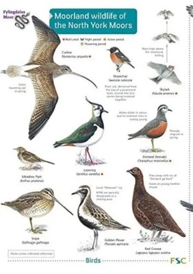 Field Studies Council | Moorland wildlife of the North York Moors | Taschenbuch
