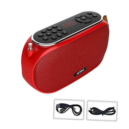 portable wireless radio