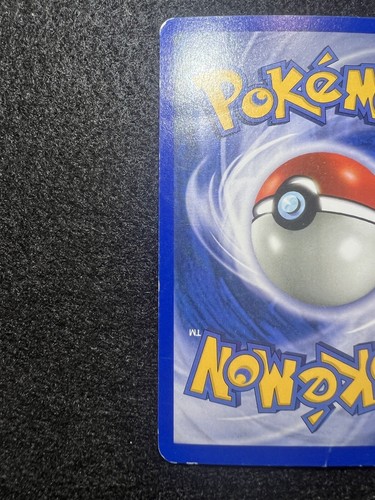 Pokemon Wingull reverse #77 from Ruby and Sapphire ! Dmg - Picture 5 of 6