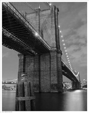 Brooklyn Bridge Shadow di Pavone 14x11 Fotografia Stampa Arte Poster New York C...