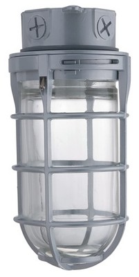 Lithonia Lighting Jelly Jar Light Fixture, Incandescent Utility Vapor Tight