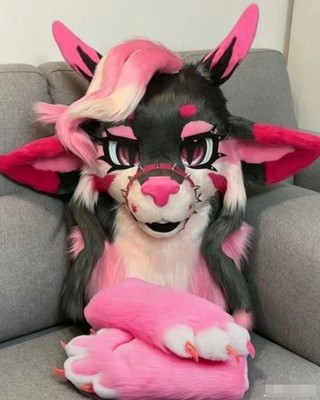 Fursuit Long haired Dog Fox Mascot Party Halloween Fur Cosplay(head+claws)