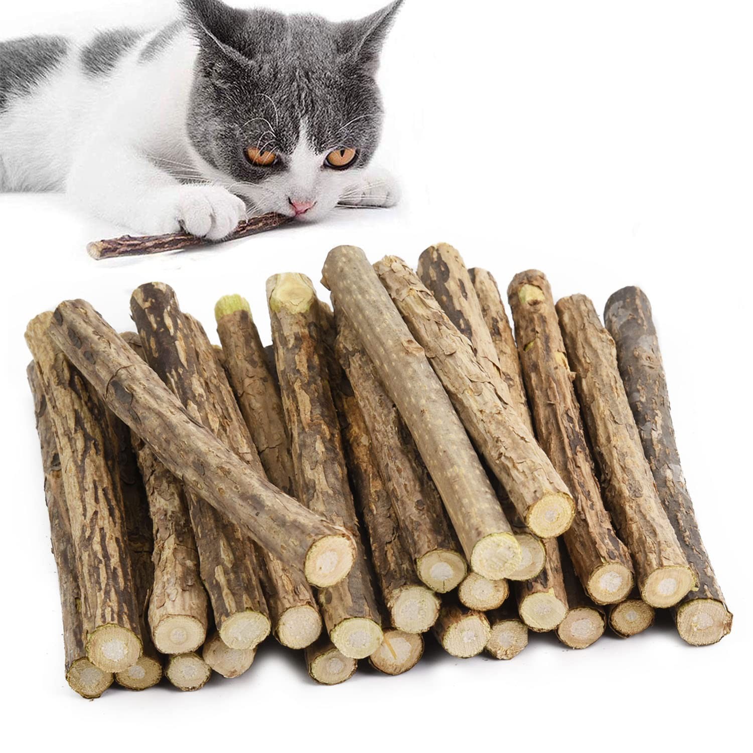 GingerUPer Catnip Sticks For Cats Cat Dental Chew Sticks Matatabi Cat Dental