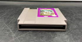 Ultima: Exodus (Nintendo Entertainment System, NES) Cartridge Only