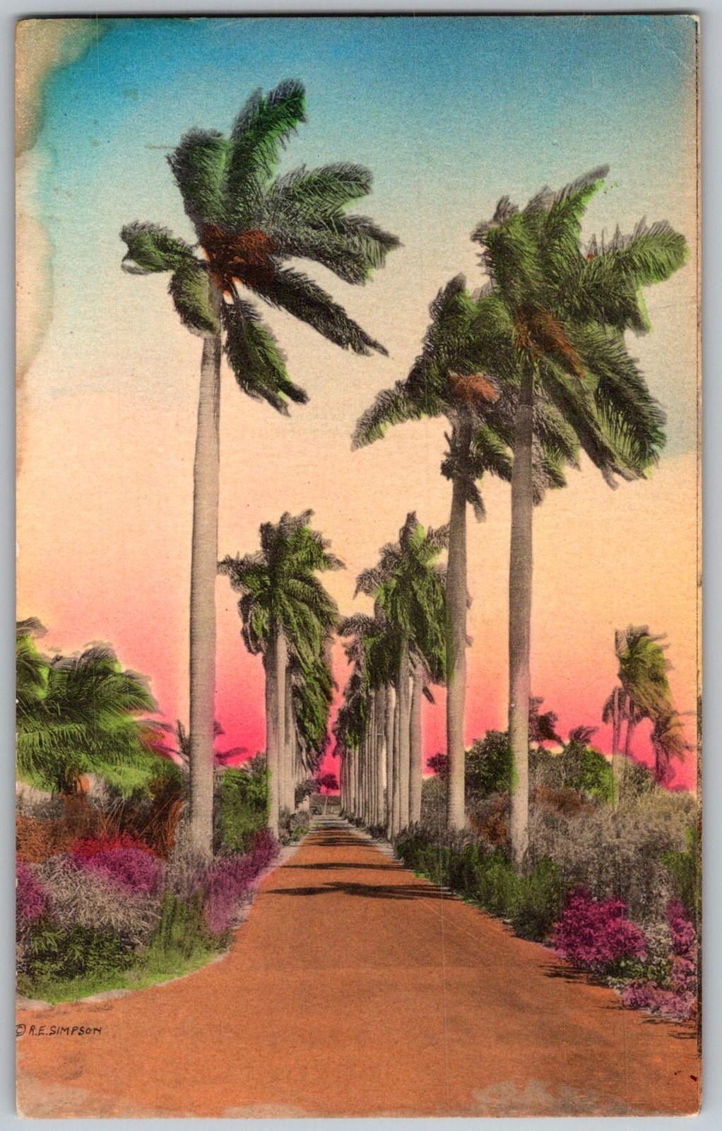 Antique Postcard Avenue Of Royal Palms Winter Park, FL 1910s