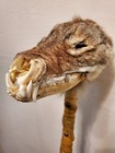 Native American Prayer Stick. Real. No Fake. Actual Coyote Head. Real Rabbit... — photo 7