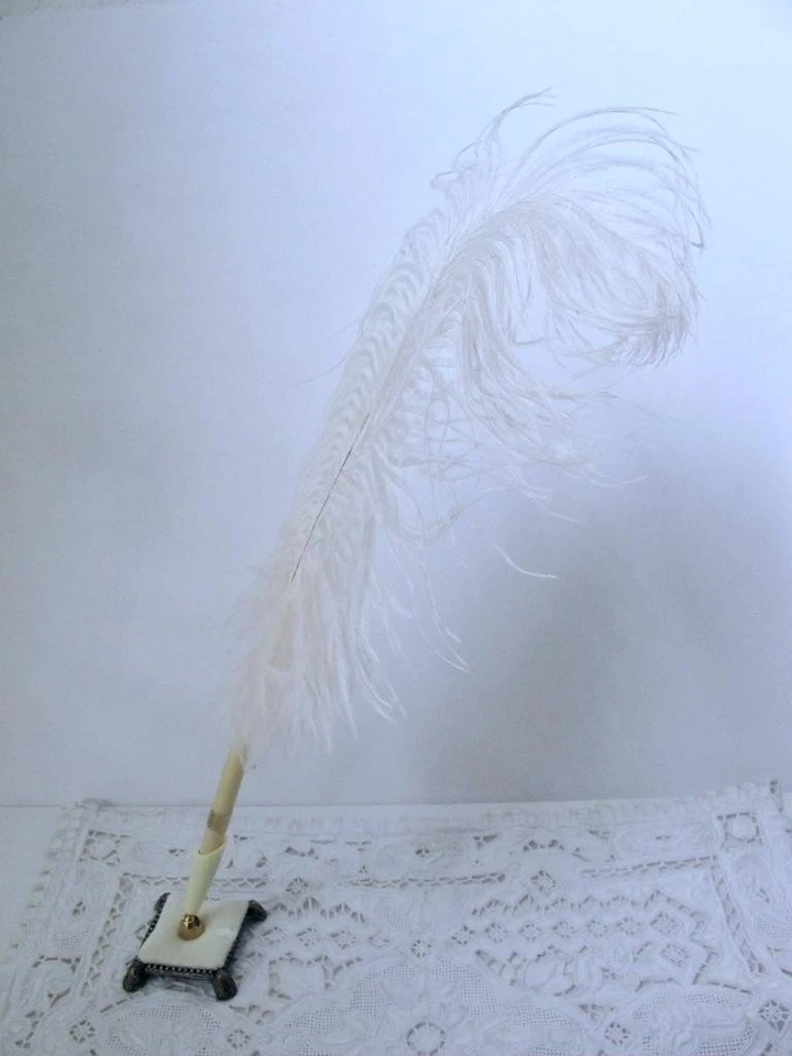 Elegante pluma de avestruz Hortense B. Hewitt de colección con soporte de terciopelo blanco Foto 2 de 4