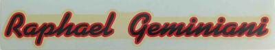 Raphael Geminiani Schrift D/T Transfer