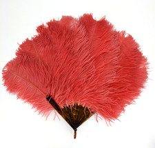 Vintage Faux Tortoiseshell Celluloid and Pink Ostrich Feather Hand Fan