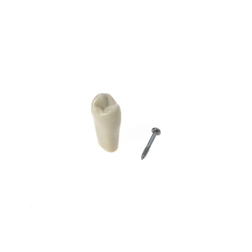 32PCS 860 Type Dental Replacement Teeth Model Screw-in For Columbia Typodont - Picture 8 of 20