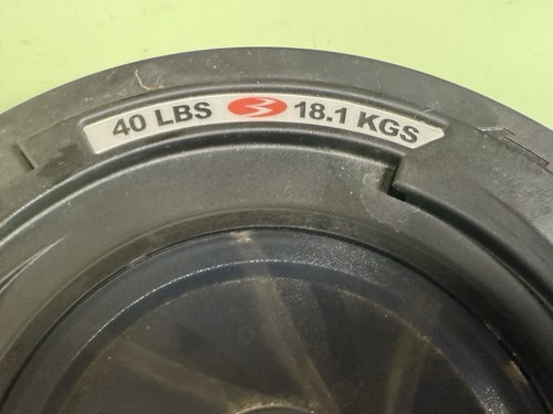 Bowflex Revolution Spiraflex Pair Of 40lb-Weight Plates 80lbs Total OEM - Picture 4 of 6