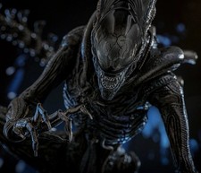 Hot Toys MMS784 Scorched Xenomorph Alien Romulus